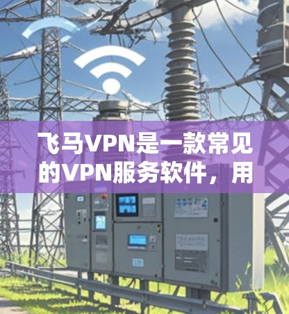 飞马VPN是一款常见的VPN服务软件，用于提供网络安全和隐私保护。如果你需要安装飞马VPN，可以按照以下步骤进行