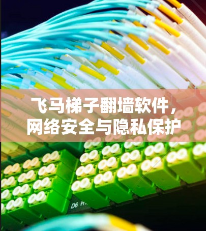 飞马梯子翻墙软件，网络安全与隐私保护的创新解决方案